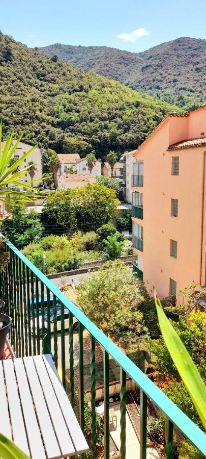 T2 Tout Confort Amélie-les-Bains-Palalda Exterior foto