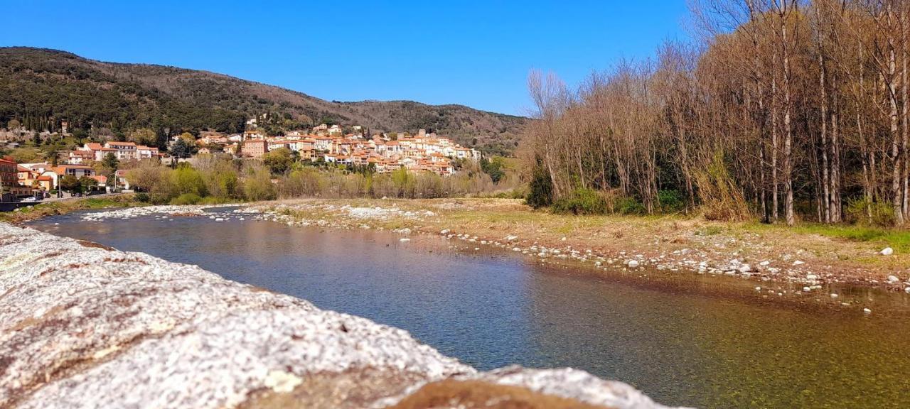 T2 Tout Confort Amélie-les-Bains-Palalda Exterior foto